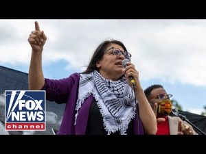 Read more about the article ‘Squad’ Dem accuses US of ‘participating in genocide’ by aiding Israel