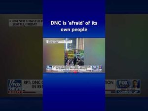 Read more about the article DNC considering ‘hybrid’ convention over anti-Israel protests #shorts