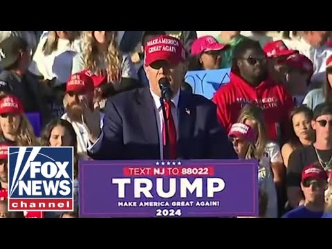 You are currently viewing Trump slams legal cases against him at massive rally: ‘I am being indicted for you’