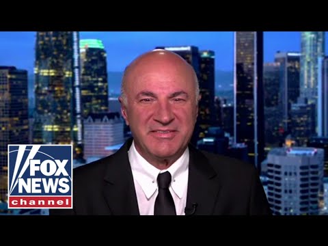 You are currently viewing Trump is his own network: Kevin O’Leary