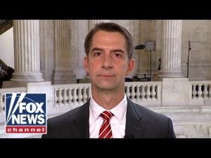 Read more about the article Tom Cotton on arrest of terrorist-tied migrants in US: ‘Just the tip of the iceberg’