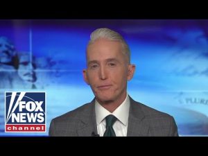 Read more about the article Trey Gowdy: Republican infighting shadows primary races