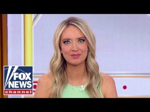 Read more about the article Kayleigh McEnany: I don’t want Congress deciding this