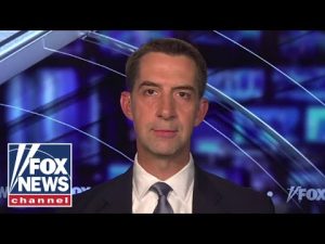 Read more about the article Sen. Tom Cotton: The American people want Trump back in the White House