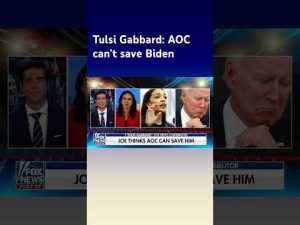 Read more about the article Tulsi Gabbard: Democrats are trotting AOC out #shorts