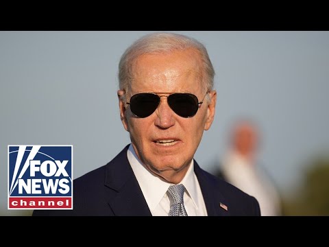 You are currently viewing Democrats know Biden’s arguments are weak in this area: Doug Schoen