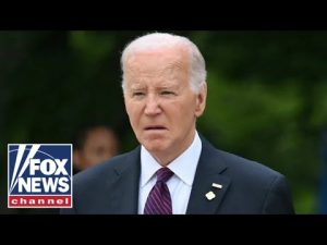 Read more about the article ‘NO LEADERSHIP’: Biden slammed for handling of murders in US by illegal migrants