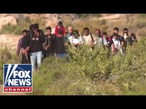 Read more about the article Biden admin ‘forcing’ CBP to process more migrants than it can handle: Rodney Scott