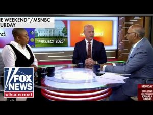 Read more about the article MSNBC panel ripped for calling out guest who used term ‘illegal immigrant’