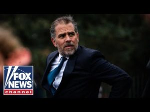 Read more about the article This could barr Hunter Biden from practicing law forever: Emily Compagno