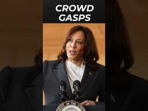 Read more about the article Crowd Gasps as Kamala Harris Proves She Doesn’t Know How Inflation Works