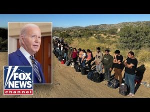 Read more about the article ‘OUT OF TOUCH’: Former FBI agent calls out the Biden admin over border