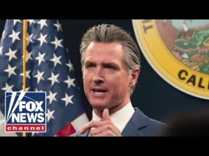 Read more about the article Gavin Newsom is the face of what’s ‘wrong’ with politics: Adam Carolla