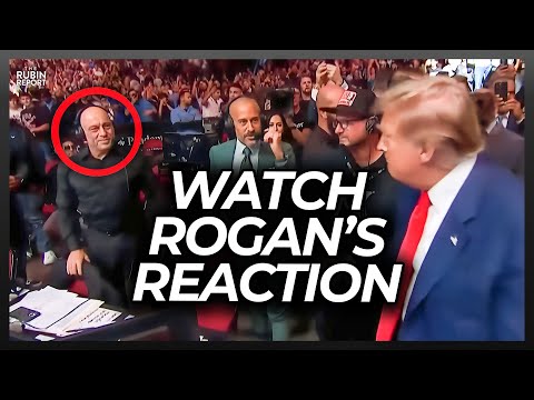 You are currently viewing Watch Joe Rogan’s Reaction When Trump Goes Over to Shake His Hand at UFC Event