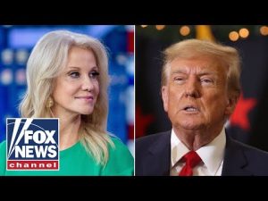 Read more about the article Kellyanne Conway ‘stunned’ by new battleground poll numbers: A ‘big deal’ for Trump