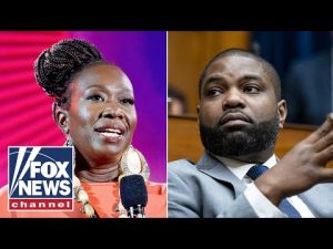 Read more about the article Byron Donalds throws down with Joy Reid: ‘Gaslighting’