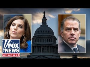 Read more about the article Rep. Nancy Mace: Hunter and James Biden ‘perjured themselves’