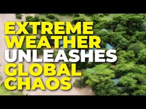 Read more about the article Brace for Impact: Extreme Weather Unleashes Global Chaos, 1 Million Affected