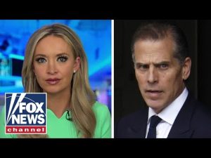 Read more about the article Kayleigh McEnany: I’d be STUNNED if Hunter Biden doesn’t take plea deal ahead of tax charges