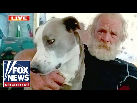 You are currently viewing Dog saves owner after truck drives off a cliff