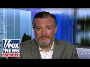 Read more about the article Ted Cruz: Democrats are ‘laying out the red carpet’ for terrorists