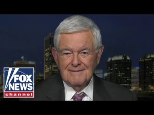 Read more about the article Newt Gingrich: This new Biden campaign push is ‘childish’