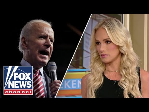 You are currently viewing Tomi Lahren: This has been a years-long scandal in the making