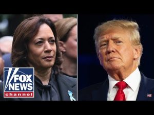 Read more about the article If Kamala Harris is at the ‘top of the ticket,’ our gameplan is the same: GOP rep