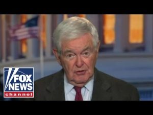 Read more about the article Newt Gingrich: The left is ‘confronting a terrifying reality’