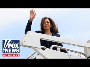 Read more about the article Kamala Harris can’t ‘re-write history’ here: GOP lawmaker