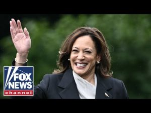 Read more about the article VEEPSTAKES: Who will Kamala Harris’ running mate be?