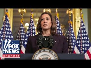 Read more about the article There is an ‘extraordinary energy’ around Kamala Harris: Buttigieg