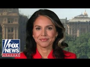 Read more about the article Tulsi Gabbard: Democrats don’t really care about Biden