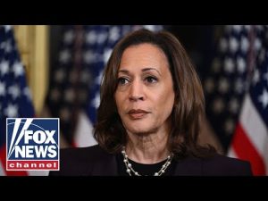 Read more about the article FLASHBACK: Kamala Harris’ ‘extremist’ agenda revealed