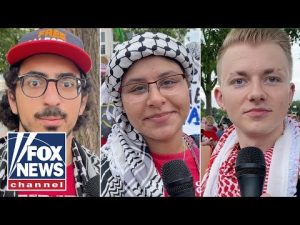 Read more about the article Anti-Israel protesters reveal their hopes for Gaza, feelings toward Kamala Harris