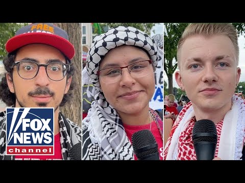 You are currently viewing Anti-Israel protesters reveal their hopes for Gaza, feelings toward Kamala Harris