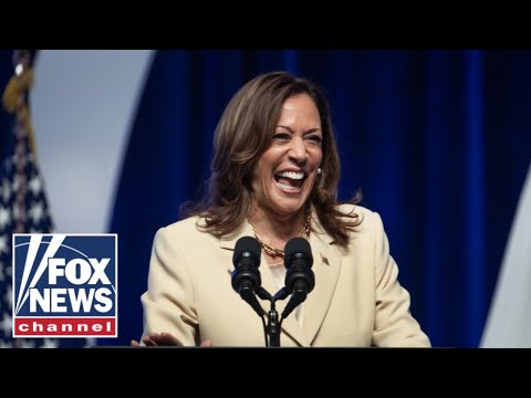 You are currently viewing Inside look at Kamala Harris’ top VP contenders