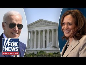 Read more about the article ‘SO FULL OF IT’: Biden, Harris think THEY’RE above the law