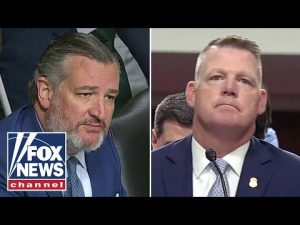 Read more about the article Ted Cruz spars with acting Secret Service chief: ‘Stop interrupting me!’