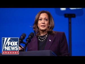 Read more about the article Black voters set the record straight on Kamala Harris’ record