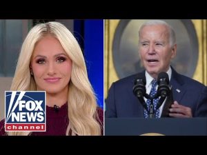 Read more about the article Tomi Lahren: This is all the Democrats have