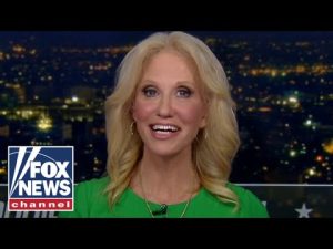 Read more about the article Kellyanne Conway: There is panic at the White House