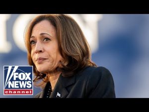 Read more about the article ‘Case for Kamala Harris’ document reportedly circulating