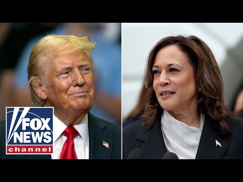 You are currently viewing Donald Trump: Kamala’s ‘honeymoon period is gonna end’