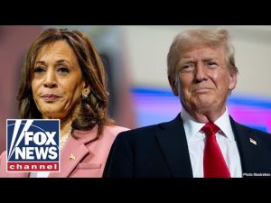 Read more about the article Trump: Kamala Harris’ nomination ‘seems unconstitutional’