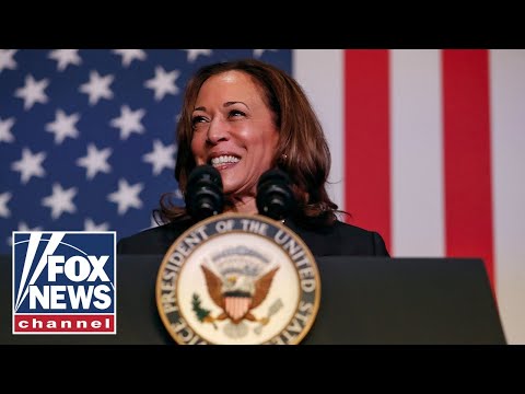 You are currently viewing Critics notice something about Kamala rallies: ‘What a robot!’