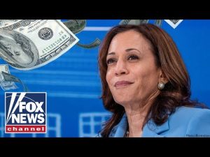 Read more about the article ‘HOW DID WE GET HERE?’ America may already have Kamala’s economic record