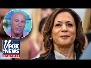 Read more about the article Kevin O’Leary: It’s important that Kamala Harris comes out with economic policy