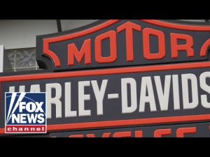 Read more about the article Is Harley-Davidson going ‘woke’?