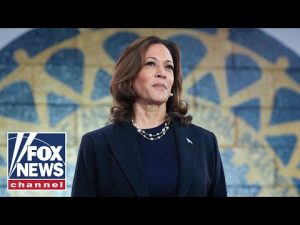 Read more about the article ‘COPYCAT KAMALA’: Harris rips off one of Trump’s campaign proposals